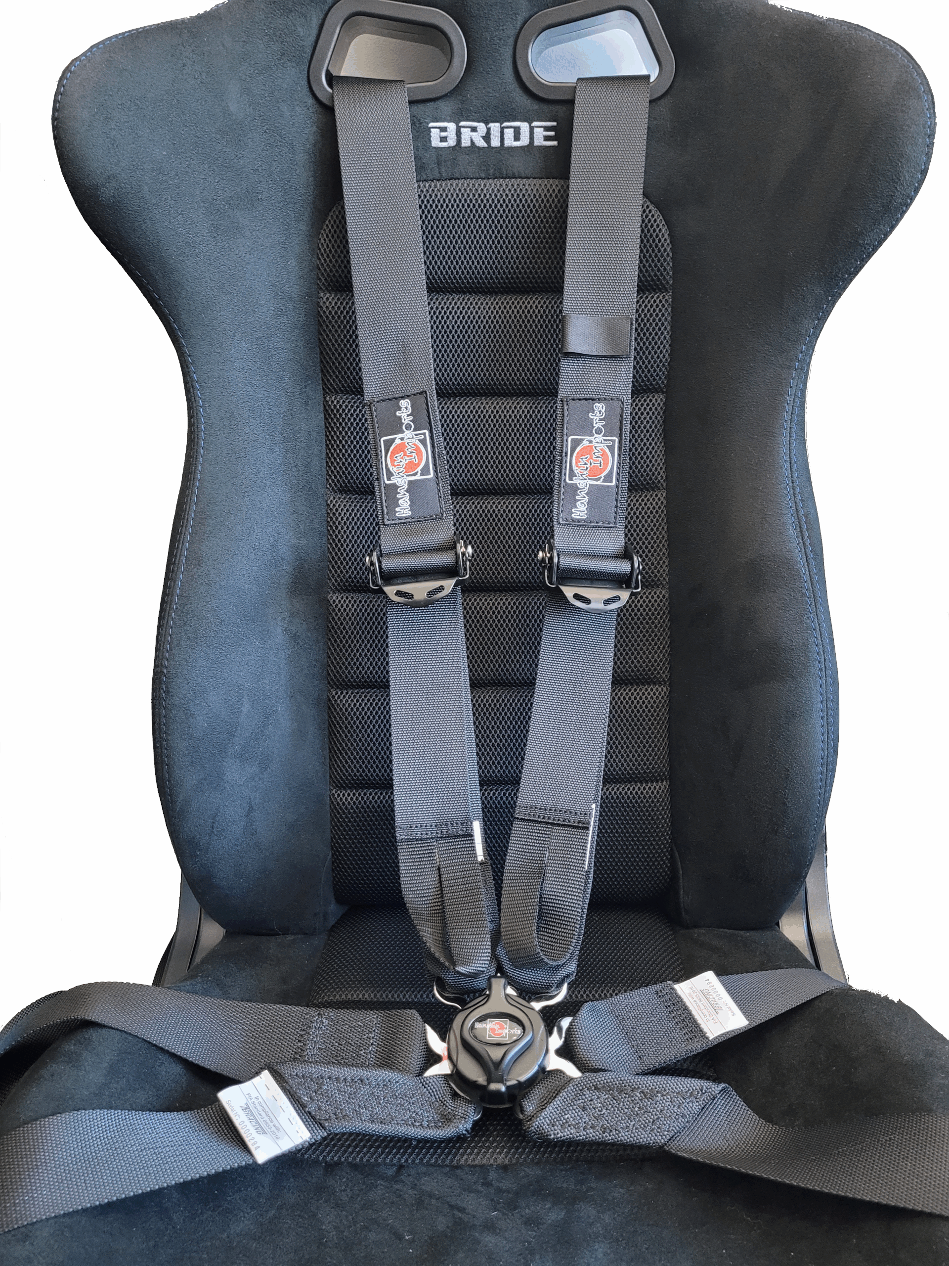 hanshin imports harness harnais black noir schwarz