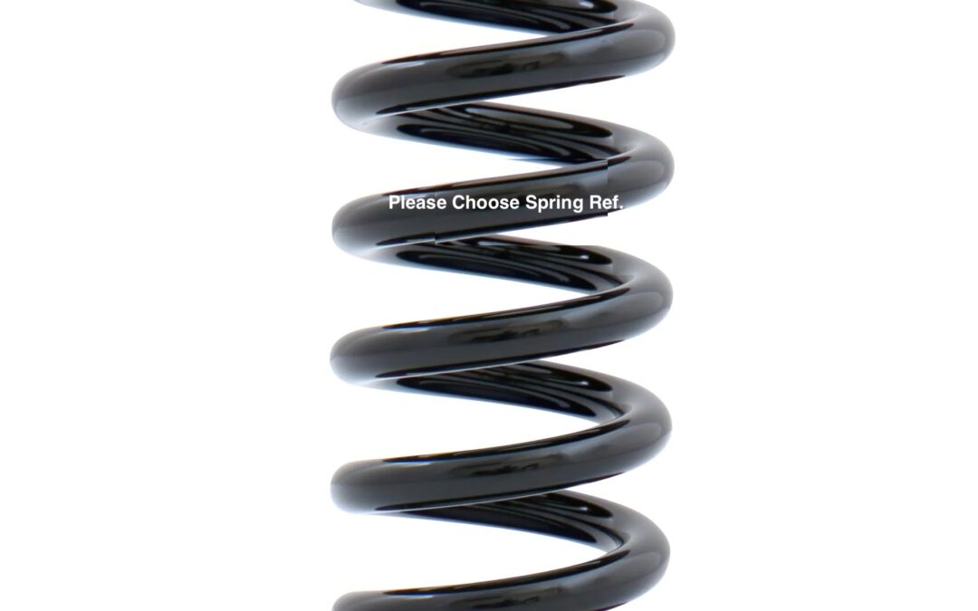 BC-Racing Replacement Spring