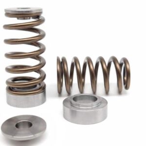 Kelford G16E-GTS Valve Springs