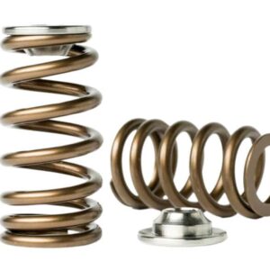 Kelford KVS38-BT | VR38DETT Valve Springs