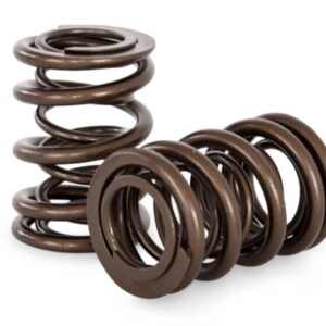 Kelford KVS226 | RB30E SOHC Dual Springs