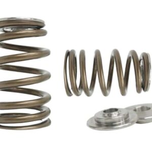 Kelford KVS79-K | Honda K/F Beehive Springs