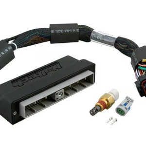 Haltech Elite 2000/2500 Plug 'n' Play Adapter Harness Only - Nissan Skyline R34 GTT