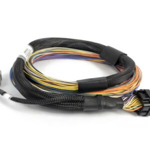 Haltech Nexus T2 / T1 Basic Universal Wire-in Harness