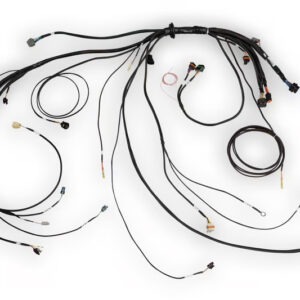 Haltech Nexus Rebel LS Terminated Harness for Nexus Rebel LS ECU